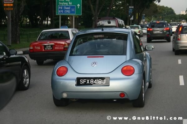 Le vacanze dei Gnubitters!