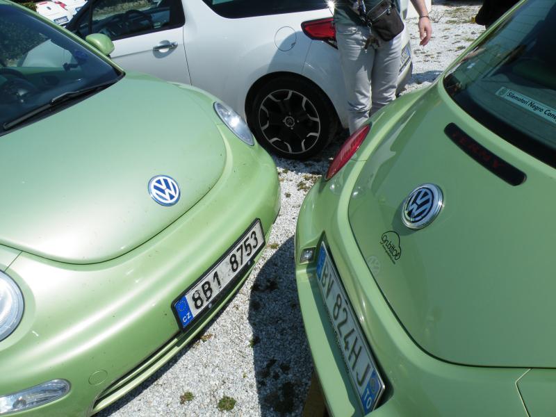 L'incontro delle verdi