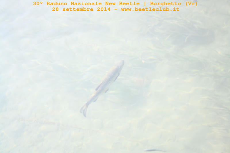 Miniraduni... pochi ma buoni!