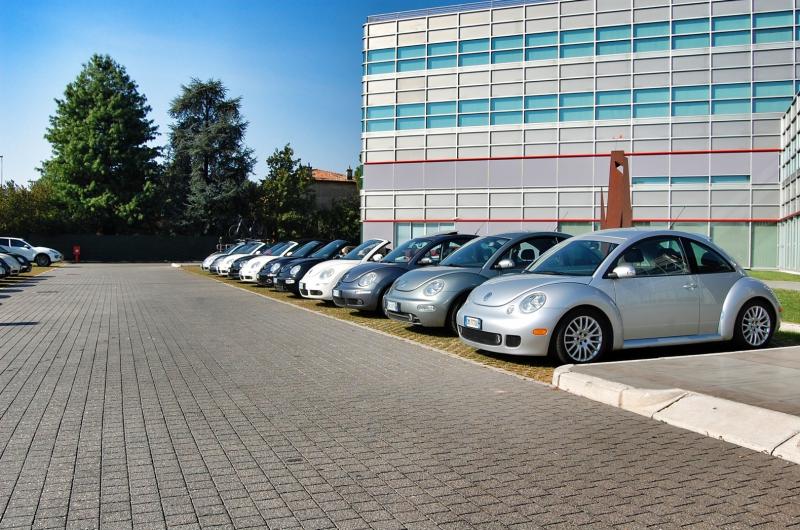 Mozzarellina 2008 - 20**