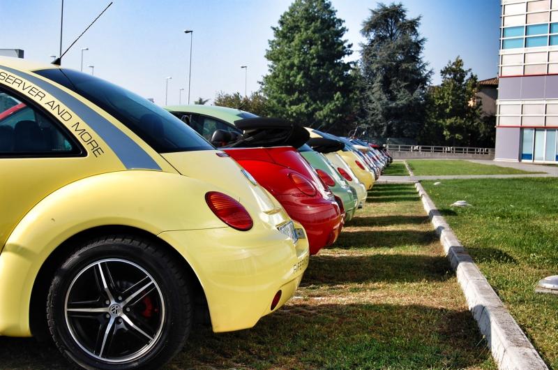 Mozzarellina 2008 - 20**