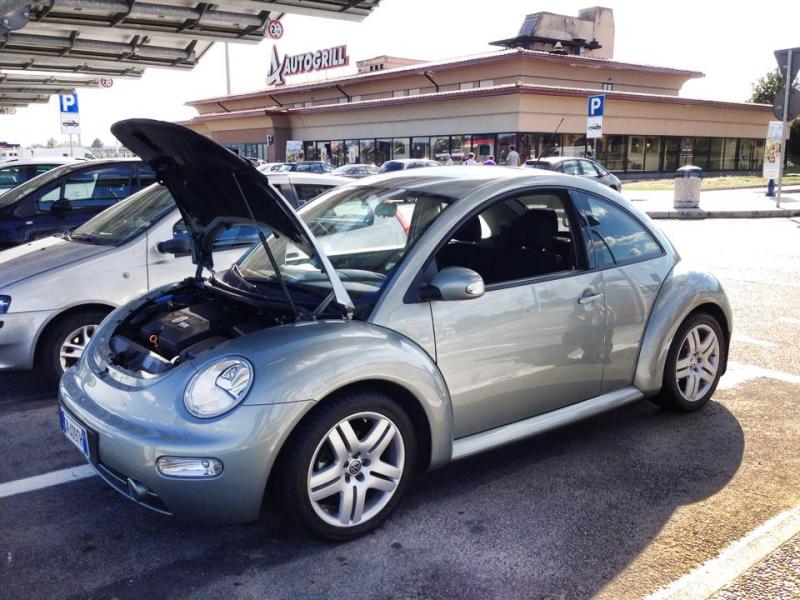 Mozzarellina 2008 - 20**