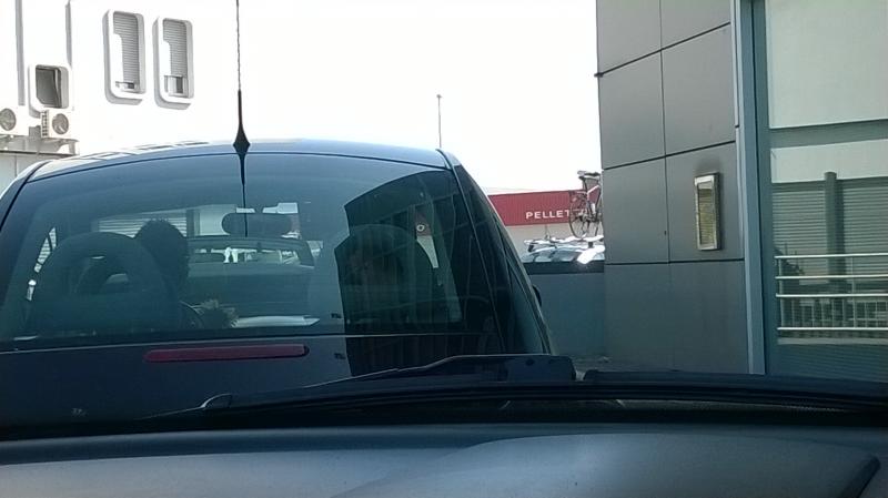 Mozzarellina 2008 - 20**