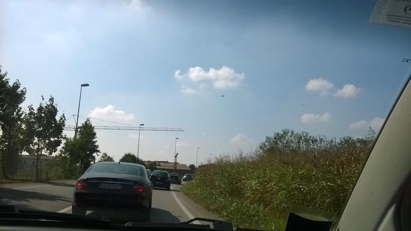 Mozzarellina 2008 - 20**