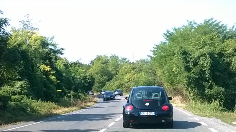 Mozzarellina 2008 - 20**