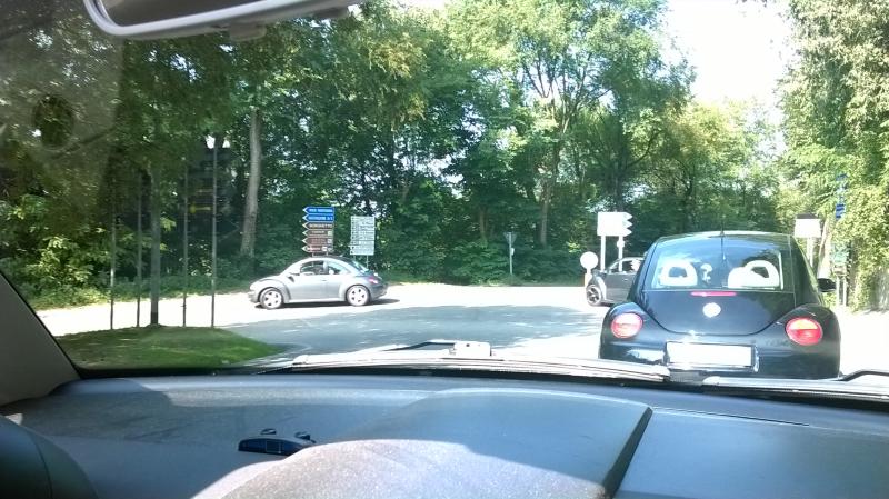 Mozzarellina 2008 - 20**