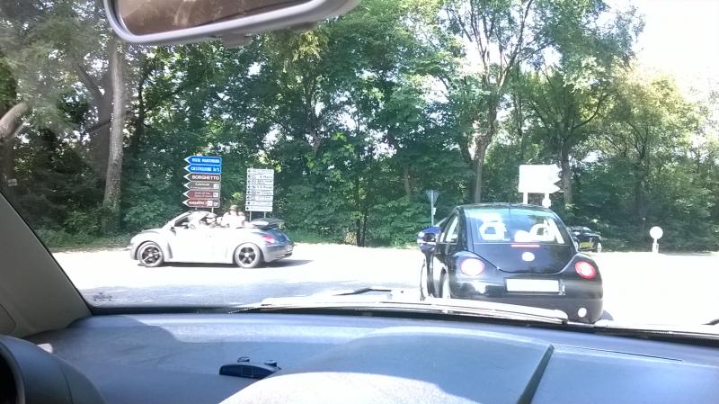 Mozzarellina 2008 - 20**