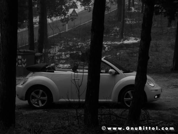 Mozzarellina 2008 - 20**