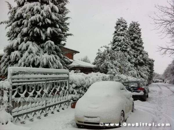 Mozzarellina 2008 - 20**