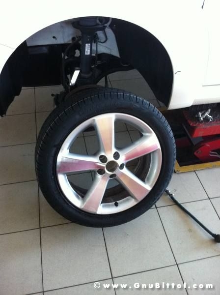 Mozzarellina 2008 - 20**