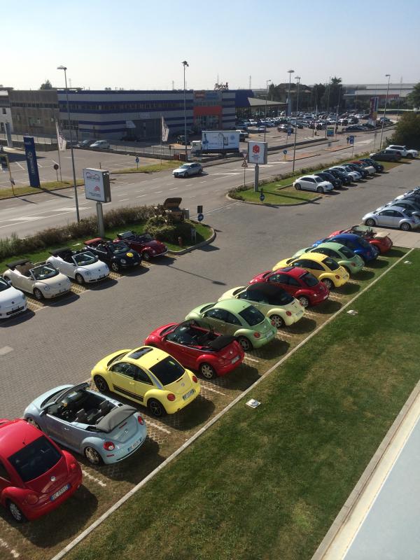 Museo Nicolis-Una raccolta di storia