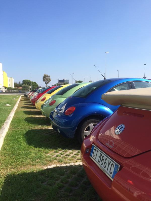 Museo Nicolis-Una raccolta di storia