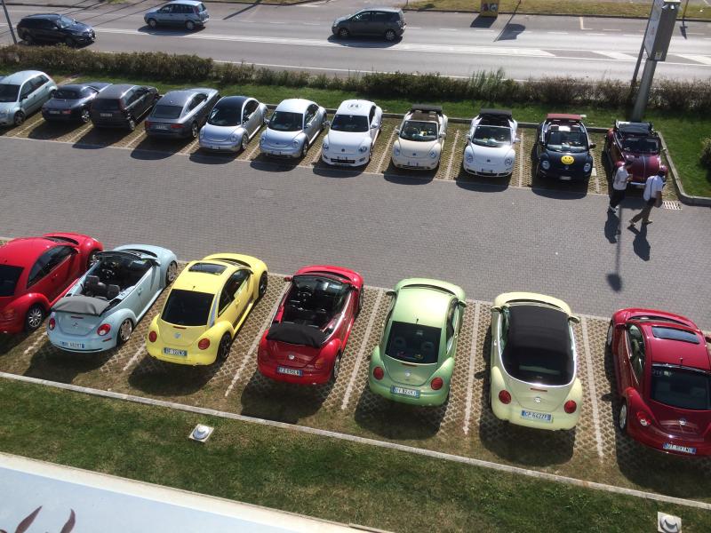 Museo Nicolis-Una raccolta di storia