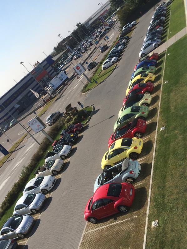 Museo Nicolis-Una raccolta di storia