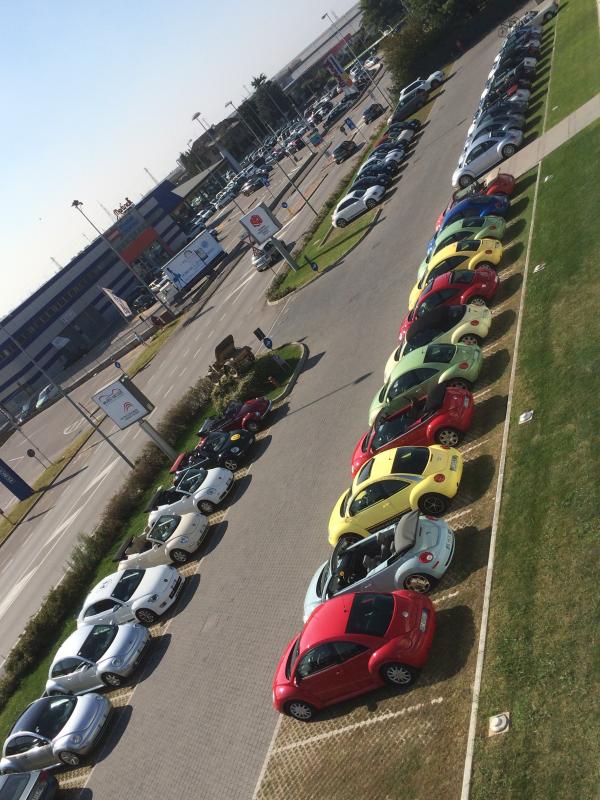 Museo Nicolis-Una raccolta di storia