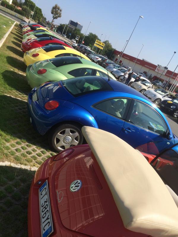 Museo Nicolis-Una raccolta di storia