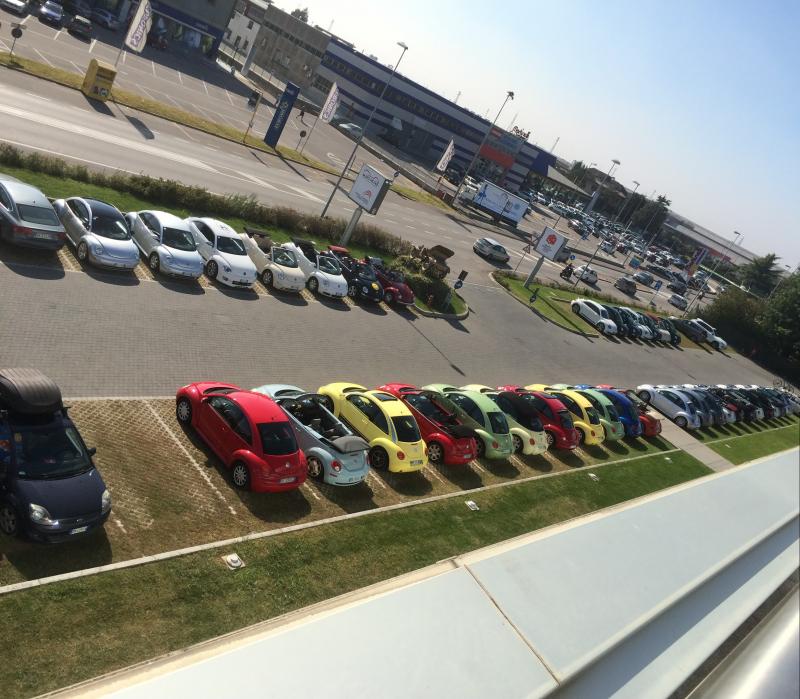 Museo Nicolis-Una raccolta di storia