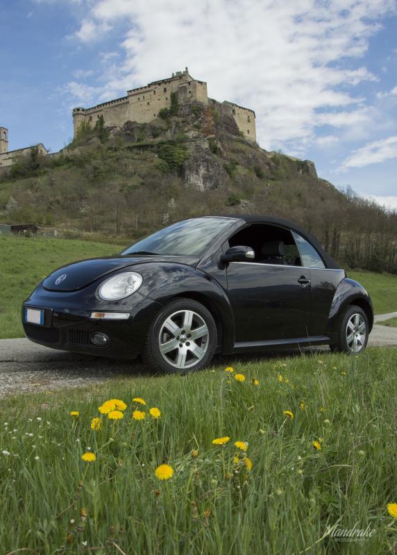 My new beetle @ Bardi..