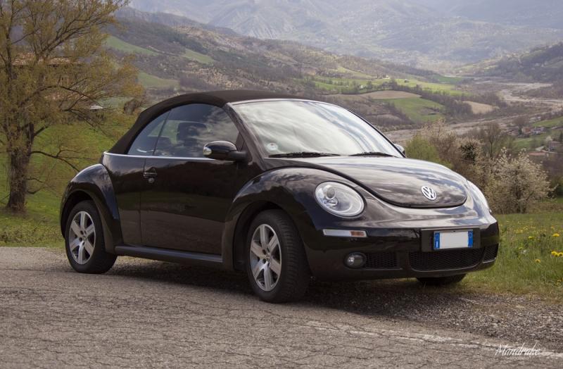 My new beetle @ Bardi..