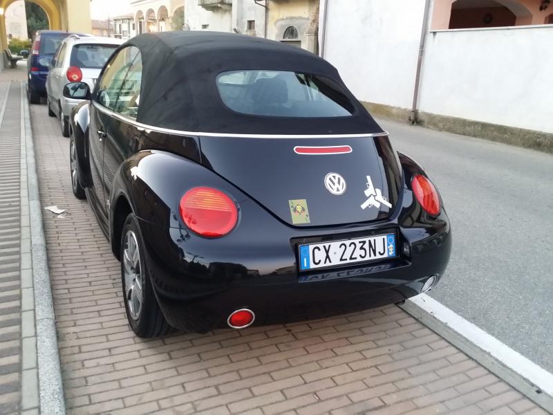 my new beetle