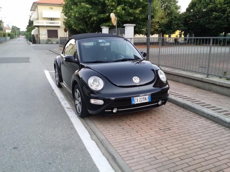 my new beetle