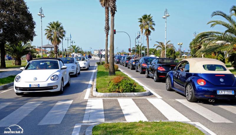 NBCI 31 Versilia 2015