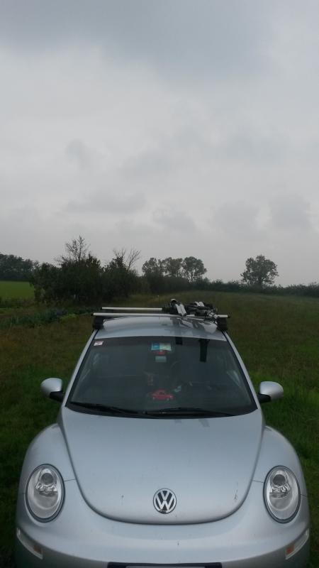 Nel prato con la mia NB