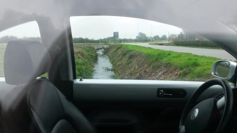 Nel prato con la mia NB