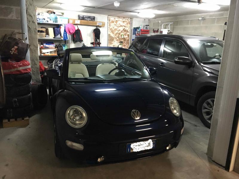 new beetle - 4