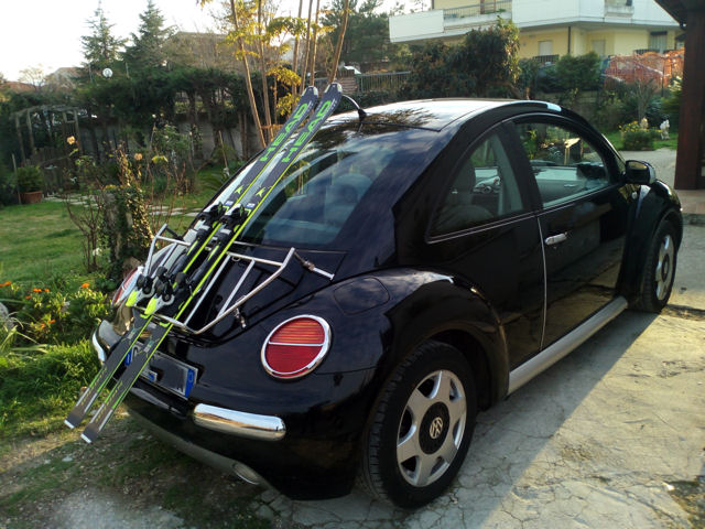 new beetle di pantaleone