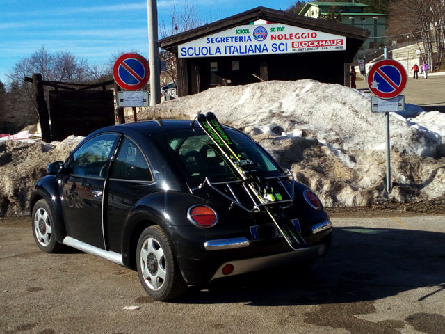 new beetle di pantaleone