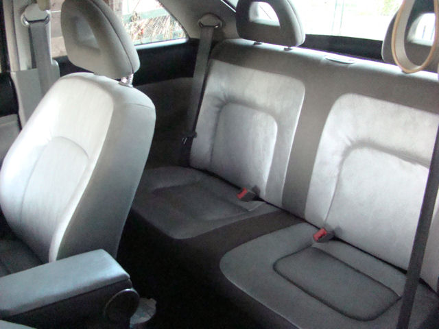 new beetle di pantaleone