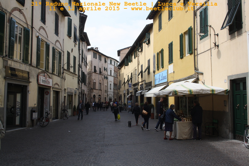 new beetle raduno lucca-versilia 20150412-2
