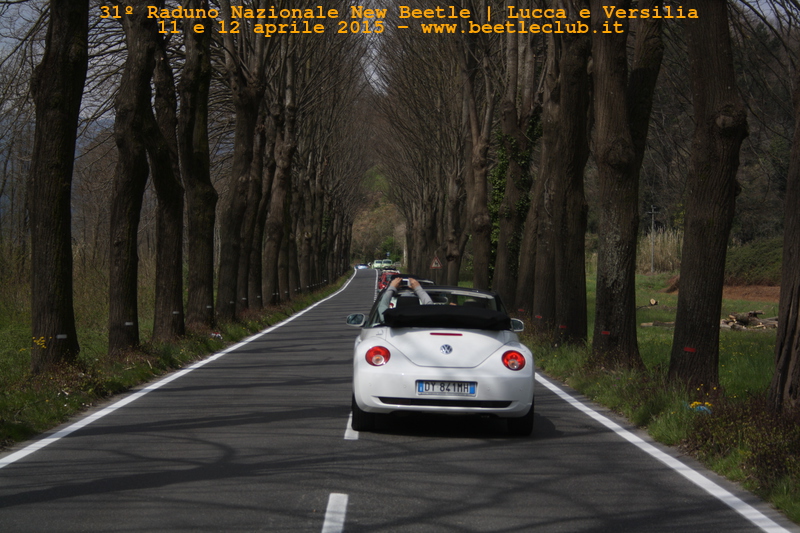 new beetle raduno lucca-versilia 20150412-21