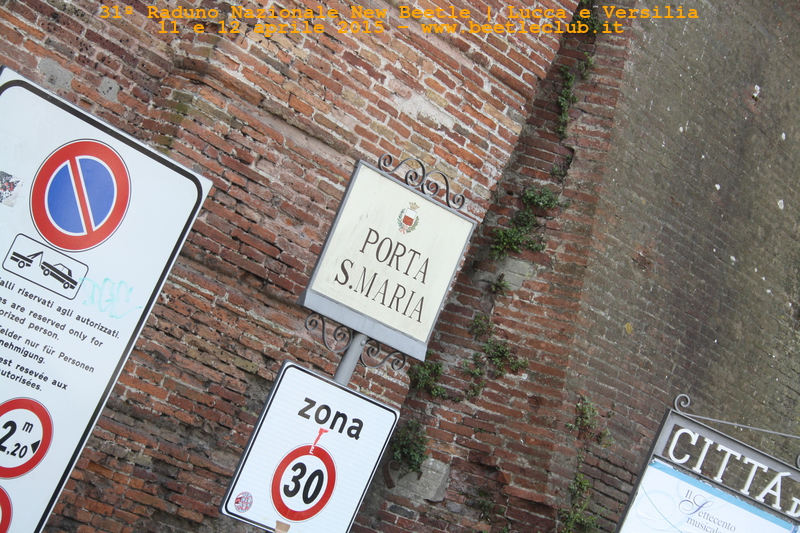 new beetle raduno lucca-versilia 20150412-56