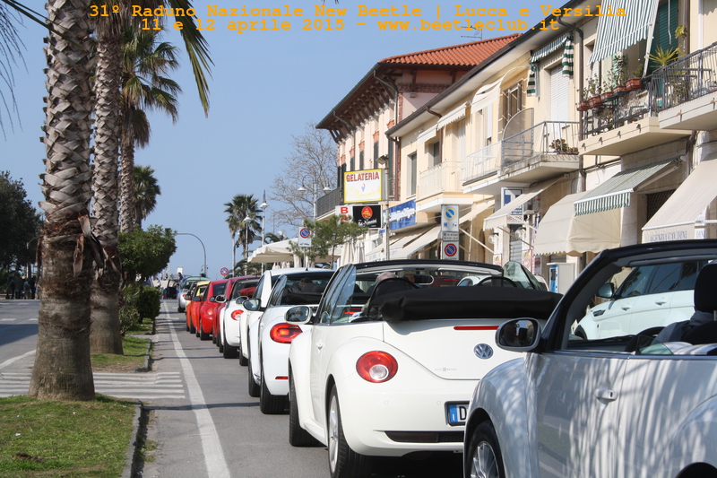 new beetle raduno lucca-versilia 20150412-66