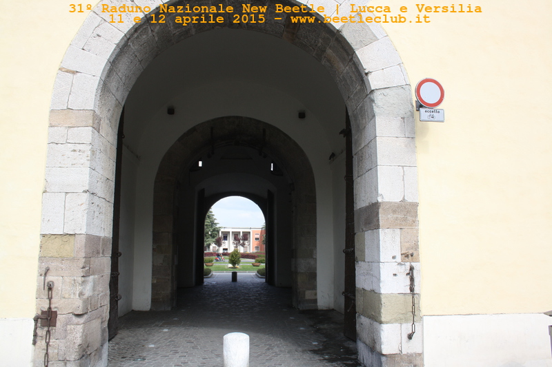 new beetle raduno lucca-versilia 20150412-67