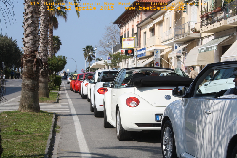 new beetle raduno lucca-versilia 20150412-68