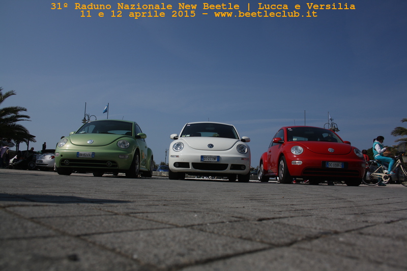 new beetle raduno lucca-versilia 20150412-69