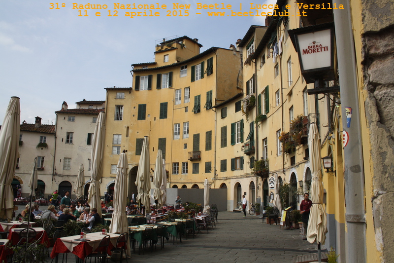 new beetle raduno lucca-versilia 20150412-70a