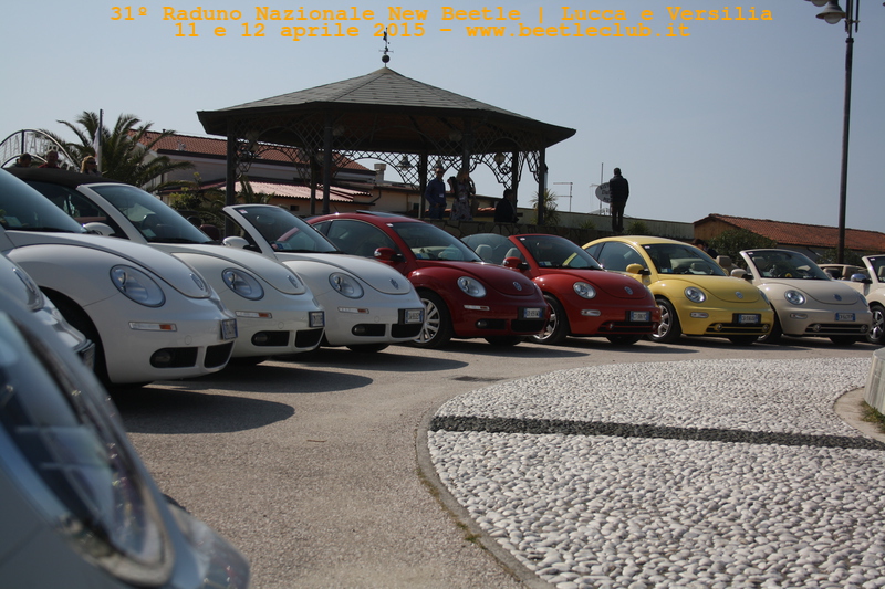 new beetle raduno lucca-versilia 20150412-71