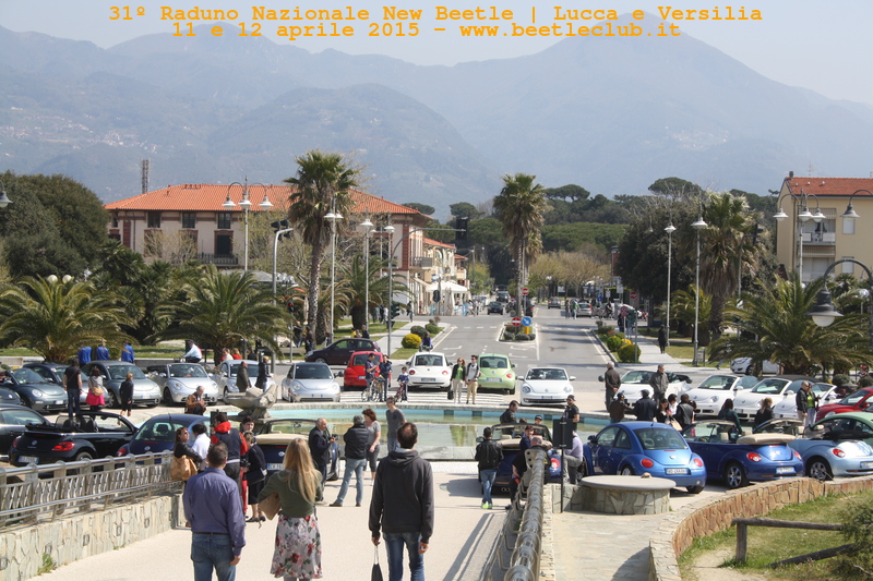 new beetle raduno lucca-versilia 20150412-74