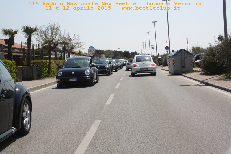new beetle raduno lucca-versilia 20150412-80