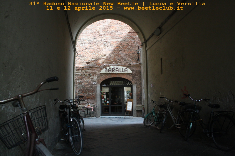 new beetle raduno lucca-versilia 20150412-80a