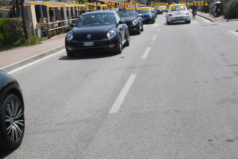 new beetle raduno lucca-versilia 20150412-81