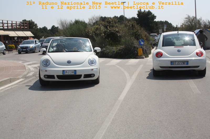 new beetle raduno lucca-versilia 20150412-84
