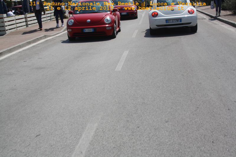 new beetle raduno lucca-versilia 20150412-88