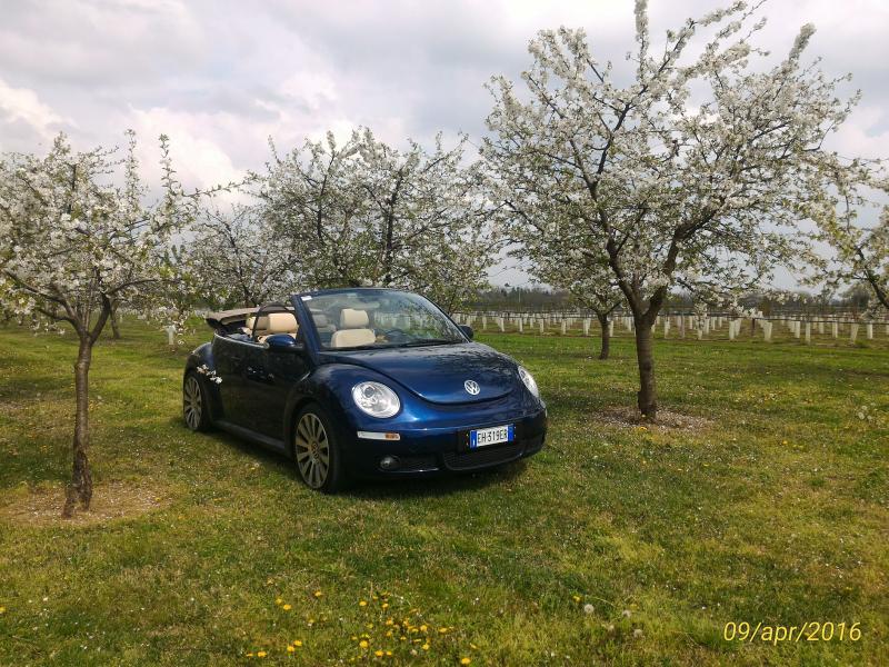 p 20160409 142721 1 p