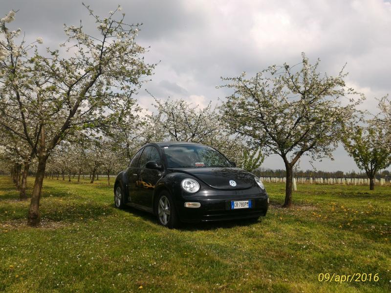 p 20160409 142839 1 p