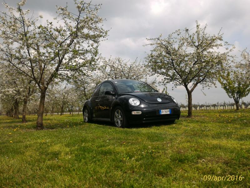 p 20160409 143405 1 p